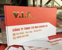 V.I.P_CARD