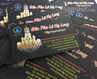 CARD _ ĐÈN PHALE